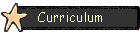 Curriculum